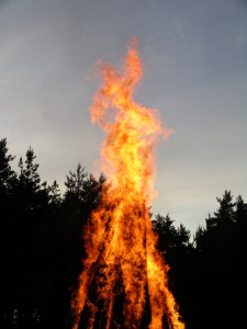Jaanipäeva pilt